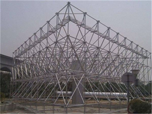 耒阳仓储物流网架加工厂家案例